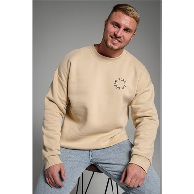 Свитшот 8559 НАТАЛИ, 1182340