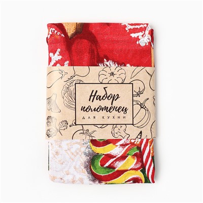 Набор кухонных полотенец Доляна «Тепла и уюта» 35×60 см-2 шт., 100% хлопок