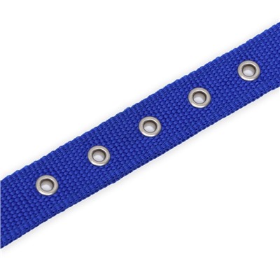 Ошейник двухслойный с вертлюгом, 55×2.5 см, полиэстер, синий