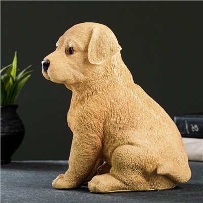 Садовая фигура из полистоуна «Щенок лабрадора», 17×12×20 см