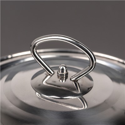 Котелок «Походный», 2.5 л, d=20 см, нержавеющая сталь, серебристый