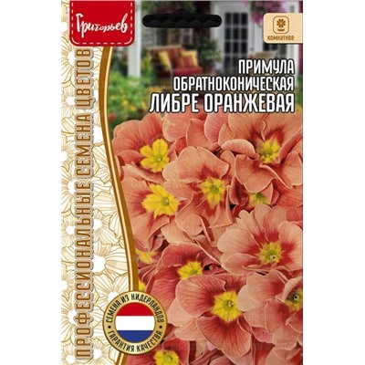 Примула Либре Оранжевая обратноконическая (Редкие)