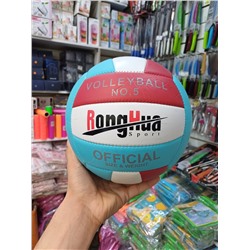 волейбольный мяч