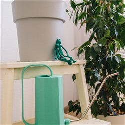 Лейка с длинным носиком, 1.2 л, без рассеивателя, зелёная, Greengo