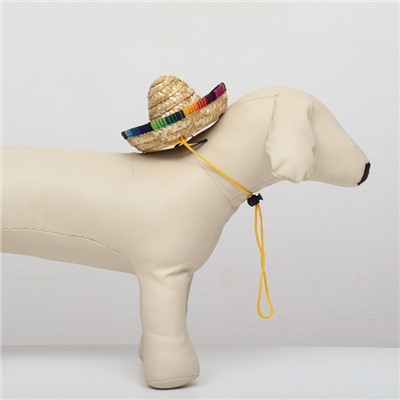 Шляпа для животных, размер S, 16×8×7 см