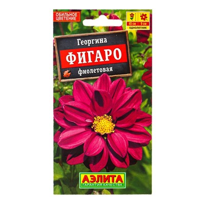 Семена цветов Георгина Фигаро махровая фиолетовая , Ц/П,7 шт.