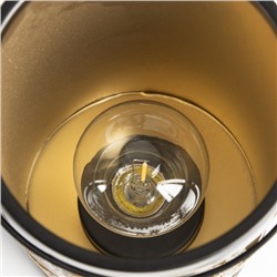 Фигурка светящаяся RISALUX «Ночной лес», LED-ночник, 3×ААА, чёрный, 12×12×20.5 см