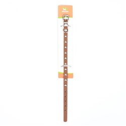 Ошейник «Пижон» клёпаный из искусственной кожи, 30.5×1 см, микс цветов