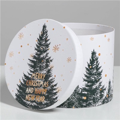 Набор подарочных коробок 5 в 1 «Белое золото», 13×14‒19.5×22 см, Новый год