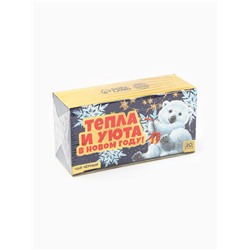 Чай новогодний чёрный «Тепла и уюта в новом году» в фильтр-пакетах, 20 шт.