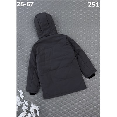 Куртка 251 серый
