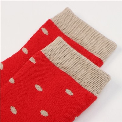 Носки детские махровые KAFTAN "Котята" р-р 14-16