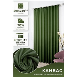 Штора Канвас 59548