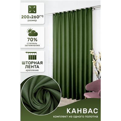 Штора Канвас 59548