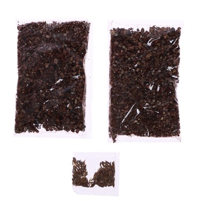 Набор для опытов, для детей «Выращиваем травку», растение в горшочке «Птичка»