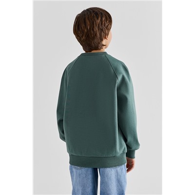 Свитшот для мальчиков MARK FORMELLE, 1238463