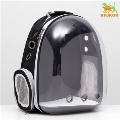 Рюкзак для переноски животных, 31×28×42 см, прозрачный, чёрный