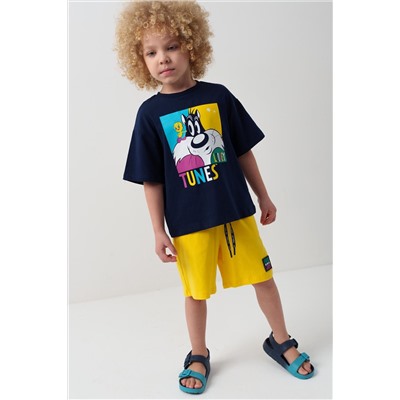 Комплект трикотажный для мальчиков: фуфайка (футболка), шорты PLAYTODAY, 1239619