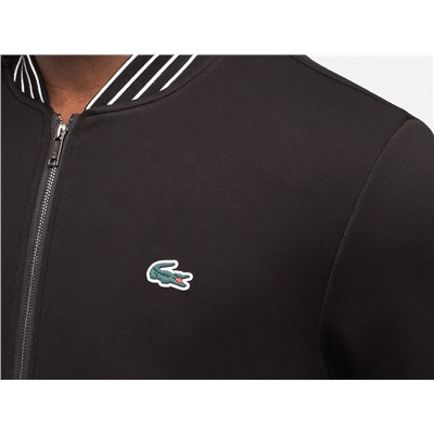 Спортивный костюм Lacoste