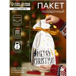 Пакет полиэтиленовый подарочный новогодний, с завязками «Ёлочки», 15×23 см