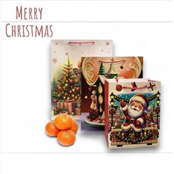 Пакет подарочный с ручками, с 3D  ризункам 32х26х10см