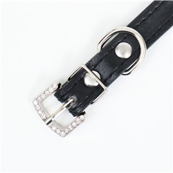 Ошейник, 38×1.5 см, ОШ 26-33, со стразами в 4 ряда, стразы на пряжке, чёрный