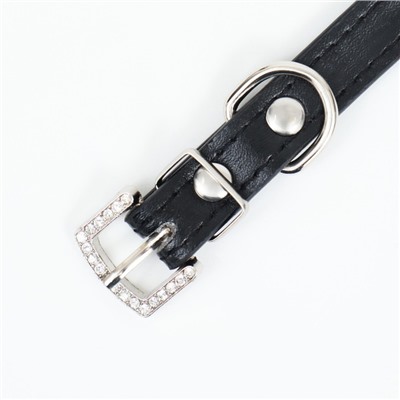 Ошейник, 38×1.5 см, ОШ 26-33, со стразами в 4 ряда, стразы на пряжке, чёрный