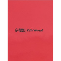 Блинница новогодняя Доляна «Волшебный праздник», 23.5×9.7 см, доломит, белая