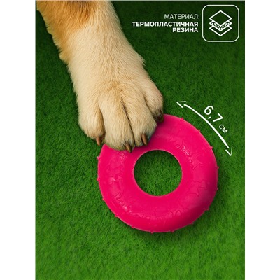 Жевательная игрушка для собак «Кольцо», 6.7×2 см, прозрачная, PP, розовая