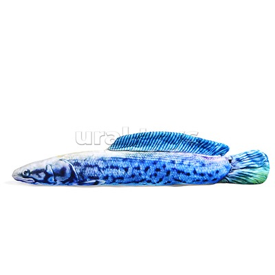 Арапайма В85