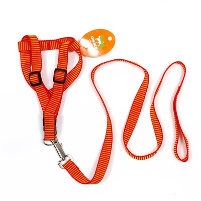 Комплект амуниции рельефный, 2 см, поводок 120 см, красно-жёлтый