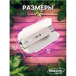 Фитопрожектор для растений Luazon Lighting СДО09-50, светодиодный, 50 Вт, IP65, 220 В, бескорпусный, мультиспектральный