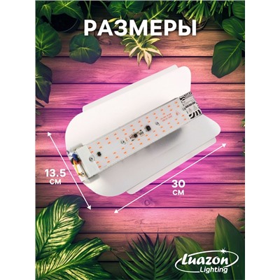 Фитопрожектор для растений Luazon Lighting СДО09-50, светодиодный, 50 Вт, IP65, 220 В, бескорпусный, мультиспектральный