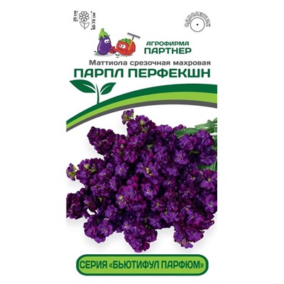 3321P Маттиола срезочная махровая "Бьютифул Парфюм" ПАРПЛ ПЕРФЕКШН 10 шт