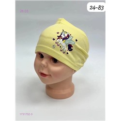 шапка 1731752-3