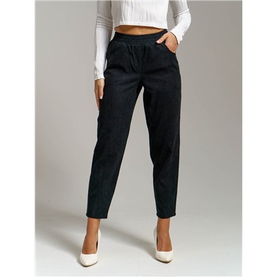 Текс-плюс Брюки НФ-00024831