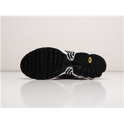Кроссовки Nike Air Max Plus 3