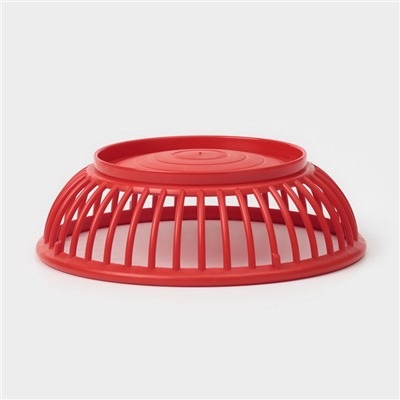 Фруктовница Доляна «Дискарт», пластик, 21.5×6.7 см, красная