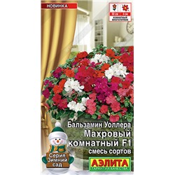 Бальзамин Махровый Комнатный Аэлита