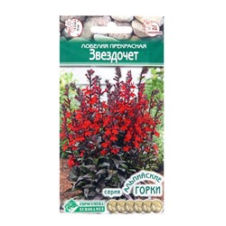 Семена лобелия прекрасная «Звездочет», 3 шт.