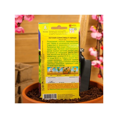 Набор семян Петуния Софистика черная F1 крупноцветковая, 4 шт., 2 шт.