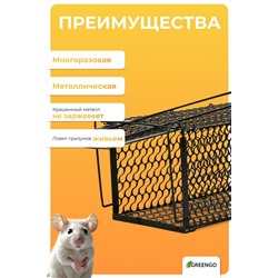 Крысоловка, 27×14×14 см, металлическая, Greengo