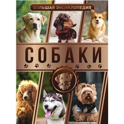 АСТ Барановская И.Г., Вайткене Л.Д., Филиппова М.Д. "Большая энциклопедия. Собаки"