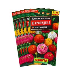 Набор семян Цинния Шаровидная, смесь окрасок, О, 5 шт.