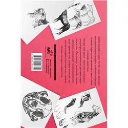 АСТ Walter Foster "Анатомия для художников. Альбом для скетчинга"