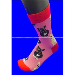 Nice Socks (AMIGOBS) ЦВЕТНЫЕ ВЫСОКИЕ НОСКИ на вешалке арт. 2208