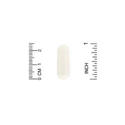 Lake Avenue Nutrition, моногидрат креатина, 750 мг, 240 растительных капсул