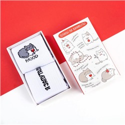 Носки женские новогодние KAFTAN «Киса» размер 36-39 (23-25 см), набор 2 пары