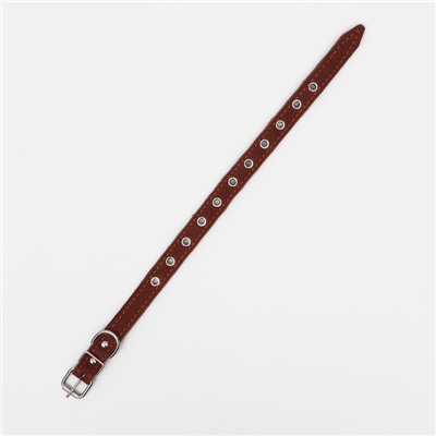 Ошейник кожаный на синтепоне, безразмерный, 45×2 см, ОШ 18-39 см, коричневый