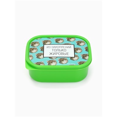 Ланч - бокс прямоугольный «Накопления», 500 мл